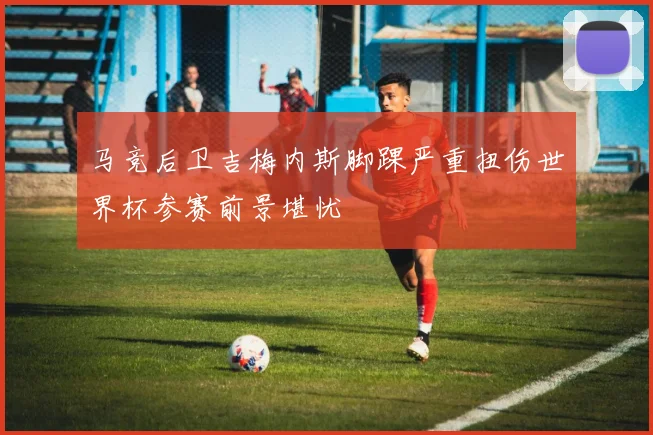 马竞后卫吉梅内斯脚踝严重扭伤世界杯参赛前景堪忧