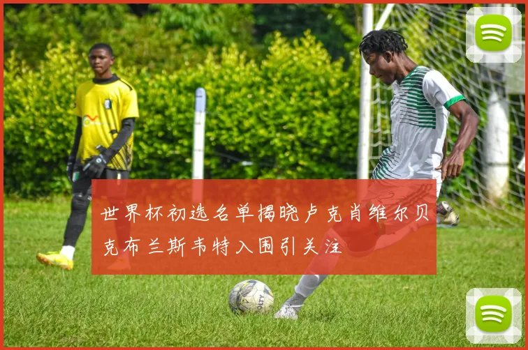 世界杯初选名单揭晓卢克肖维尔贝克布兰斯韦特入围引关注